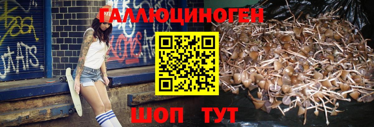 Галлюциногенные грибы мицелий  Галлюциногенные грибы Cubensis  Вход с VPN  Кызыл 